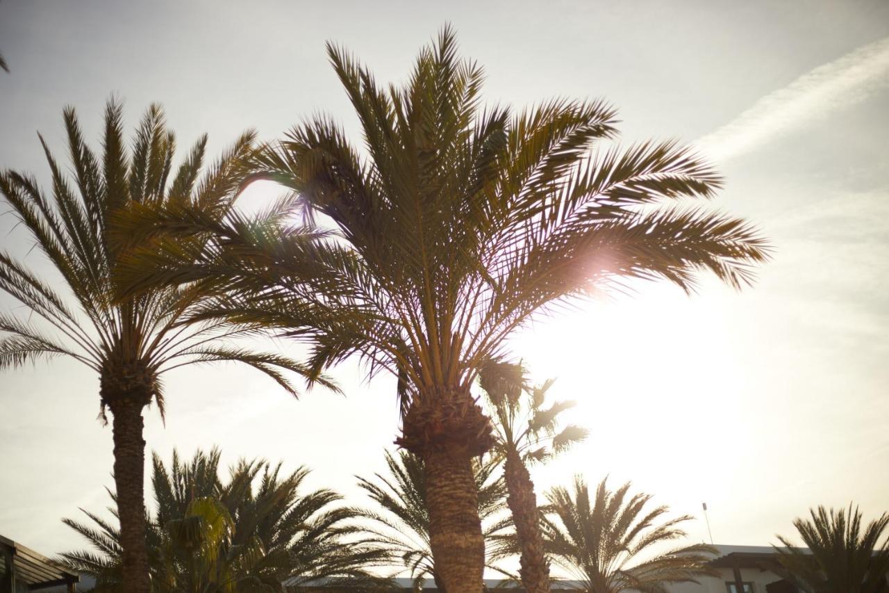 فندق هيسبيريا لانزاروتي بْوُرتو كاليرو المظهر الخارجي الصورة Palm trees in the desert